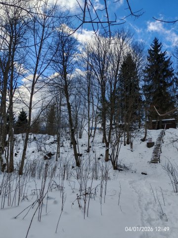 Dom i okolice